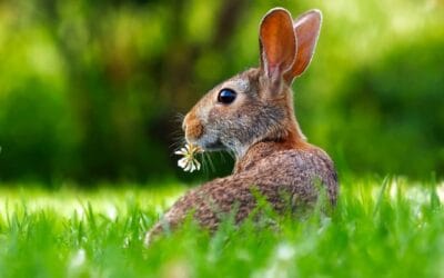 Humorous French expressions